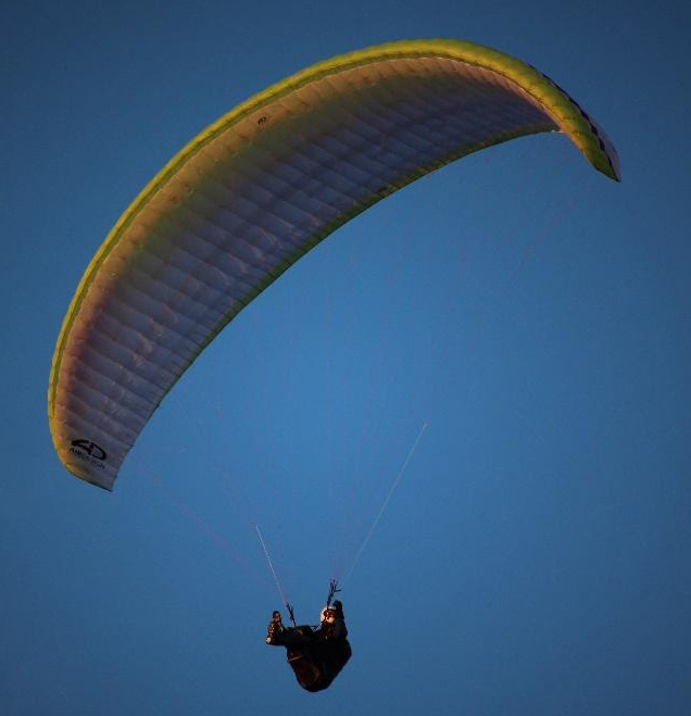 paraglider
